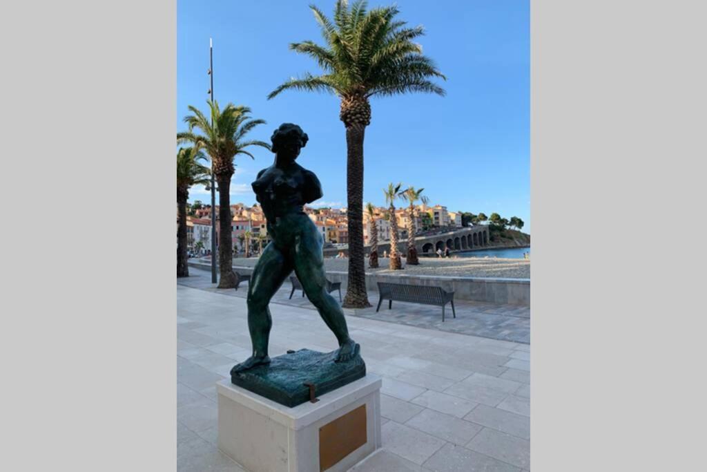 Attique A Banyuls - Vue Mer Et Montagne Экстерьер фото