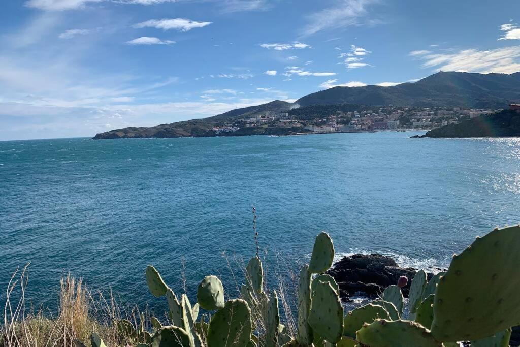 Attique A Banyuls - Vue Mer Et Montagne Экстерьер фото