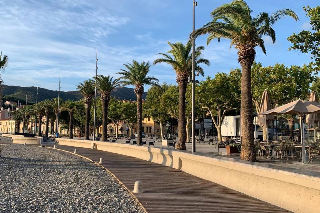 Attique A Banyuls - Vue Mer Et Montagne Экстерьер фото